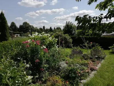 Ein Garten an der Unterkunft Kleiner Bungalow im Grünen