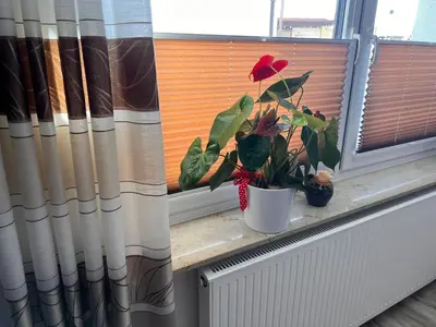 Grundriss der Unterkunft Pension zum Winterberg