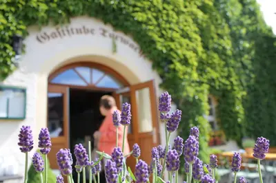 Ein Garten an der Unterkunft Schlosshotel Klaffenbach