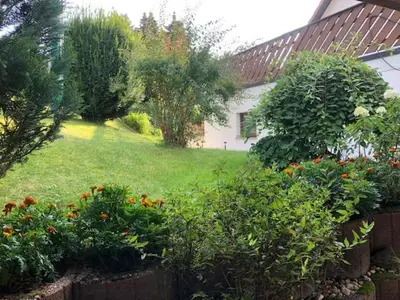 Ein Garten an der Unterkunft Ferienhaus Morgensonne
