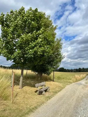 Naturlandschaft in der Nähe der Ferienwohnung