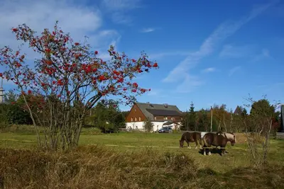 Tiere in der Ferienwohnung oder in der Nähe