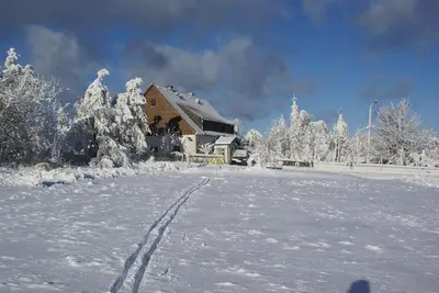 Ferienwohnung Wagner im Winter