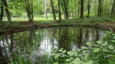 Naturlandschaft in der Nähe der Ferienwohnung