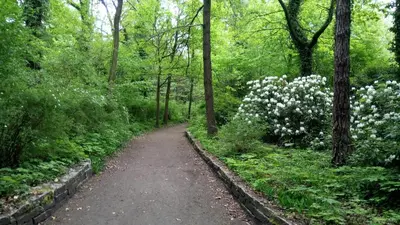 Naturlandschaft in der Nähe der Ferienwohnung