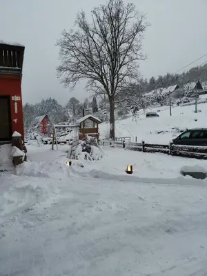 Wiesenblick im Winter