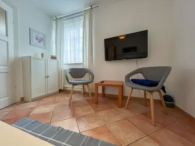 TV/Unterhaltungsangebot in der Unterkunft Wohnperle Elbtal - Dresden erleben und genießen