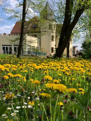 Ein Garten an der Unterkunft Parkschlößchen Hotel