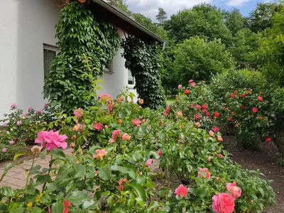 Ein Garten an der Unterkunft Großzügige Ferienwohnung am Waldesrand im Seenland
