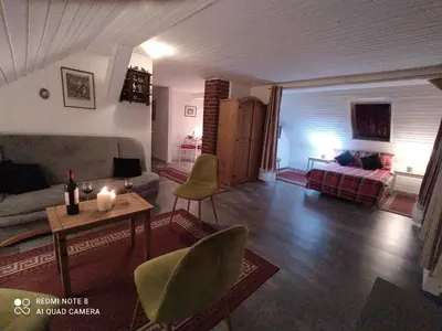 TV/Unterhaltungsangebot in der Unterkunft Elbenland Apartments