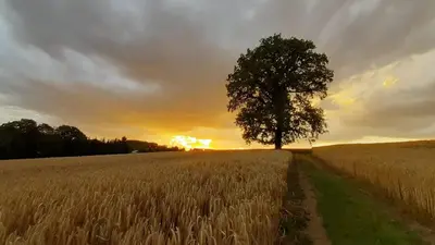 Blick auf den Sonnenuntergang/Sonnenaufgang von des Ferienhauses aus oder aus der Nähe