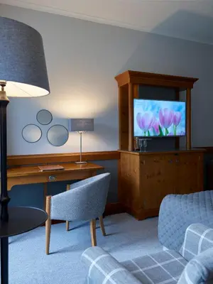 TV/Unterhaltungsangebot in der Unterkunft Schloss Hotel Dresden Pillnitz