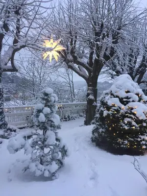 Ferienwohnungen Burkhardt im Winter