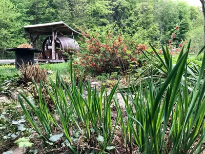 Ein Garten an der Unterkunft Schlummerfass an der Bockmühle