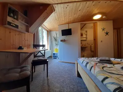 TV/Unterhaltungsangebot in der Unterkunft FeWo Bockmühle