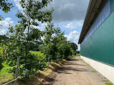 Grundriss der Unterkunft Ferienwohnung an der Reitanlage