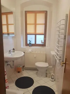 Ein Badezimmer in der Unterkunft Kleiner Muldenblick
