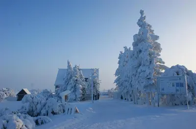 Ferienhaus Schelle im Winter