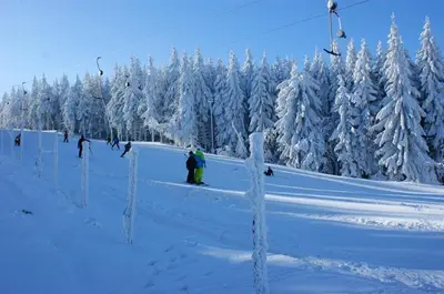 Ferienhaus Schelle im Winter