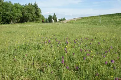 Naturlandschaft in der Nähe des Ferienhauses