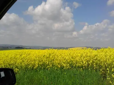 Naturlandschaft in der Nähe des Ferienhauses