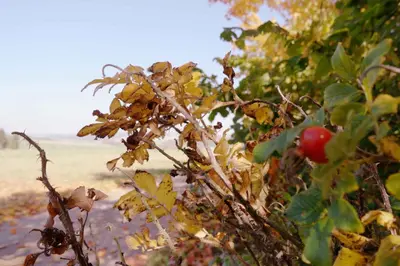 Naturlandschaft in der Nähe der Ferienwohnung