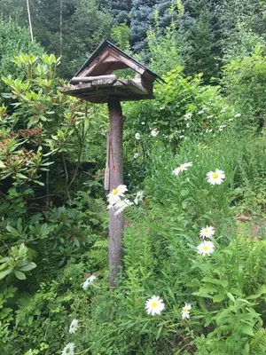 Ein Garten an der Unterkunft Feriendomizil Mikesh