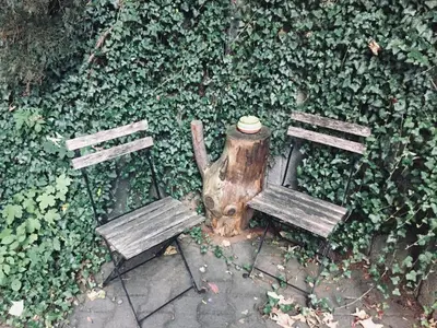 Ein Garten an der Unterkunft Feriendomizil Mikesh