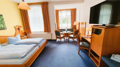 TV/Unterhaltungsangebot in der Unterkunft Hotel Seiffener Hof***