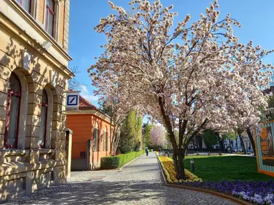 Ein Garten an der Unterkunft Ferienwohnung Xenia
