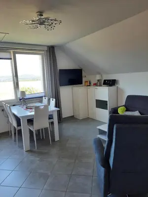 TV/Unterhaltungsangebot in der Unterkunft Ferienwohnung Ostrau
