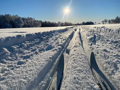 Appartementhaus Zur Bergwiese im Winter