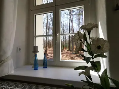 Ein Garten an der Unterkunft Gästehaus Vergissmeinnicht