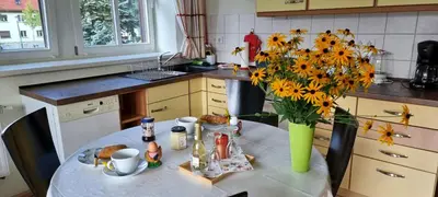 Küche/Küchenzeile in der Unterkunft dresdnerferienwohnung - apartment am großen garten