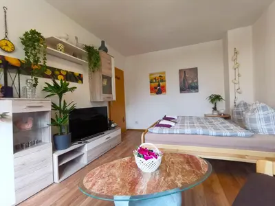TV/Unterhaltungsangebot in der Unterkunft Ferien-und Gästewohnung Radebeul