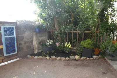 Ein Garten an der Unterkunft Stylische FeWo in Meißen (Nähe Elbe, eigener Eingang, EG, Terrasse)