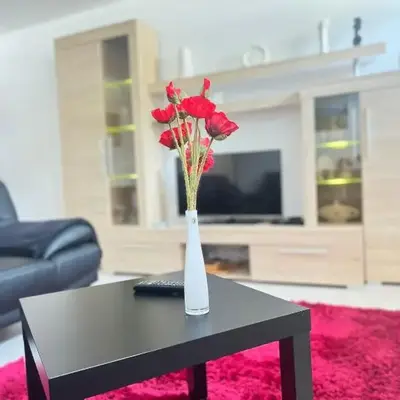 MyHome Einsiedel an der Zwönitz 1