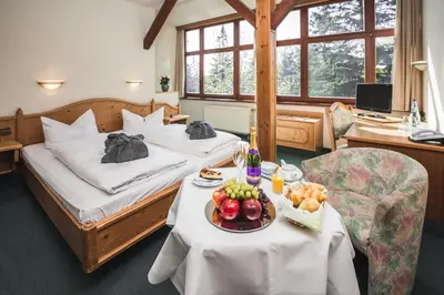Ein Bett oder Betten in einem Zimmer der Unterkunft Berghotel Friedrichshöhe - Sauna, Pool & Natur