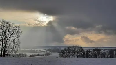 Naturlandschaft in der Nähe der Ferienwohnung