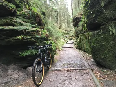 Radfahren an der Unterkunft Ferienwohnung Julia oder in der Nähe