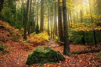 Naturlandschaft in der Nähe des Ferienhauses