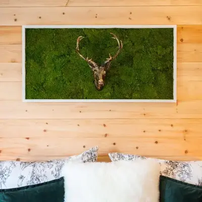 Haus am Wald - Ferienhaus mit Garten & Hund in der Sächsischen Schweiz