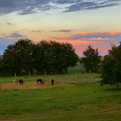 Tiere in der Ferienwohnung oder in der Nähe