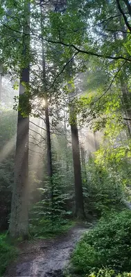 Naturlandschaft in der Nähe der Ferienwohnung
