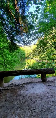 Naturlandschaft in der Nähe der Ferienwohnung