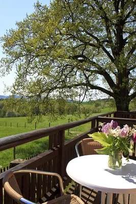 Ein Garten an der Unterkunft Hotel Berghof Lichtenhain