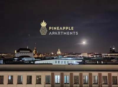 Grundriss der Unterkunft PINEAPPLE APARTMENTS - Zwinger V - 78qm - 1x free parking