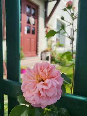 Ein Garten an der Unterkunft Ferienwohnung Simmert