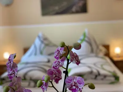 Ein Bett oder Betten in einem Zimmer der Unterkunft Kastanienhof