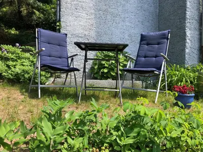 Ein Garten an der Unterkunft Ferienwohung in Dresden am Elbhang
